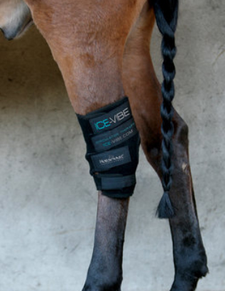 Ice hock outlet boots for horses